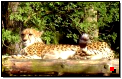 3d_bilder